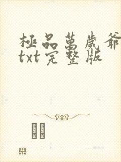 极品万岁爷下载txt完整版封面