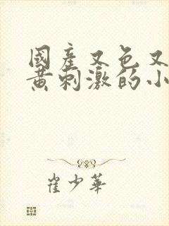 国产又色又爽又黄刺激的小说