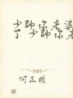 少帅你老婆又跑了 少帅你老婆又跑了封面