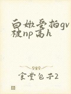 白嫩受拍gv片被np高h