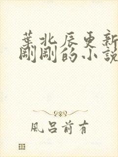 叶北辰更新最快刚刚的小说1663