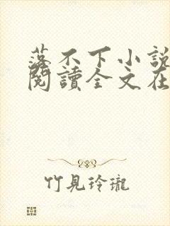 落不下小说免费阅读全文在线阅读封面