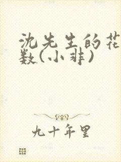 沈先生的花式调数(小非)
