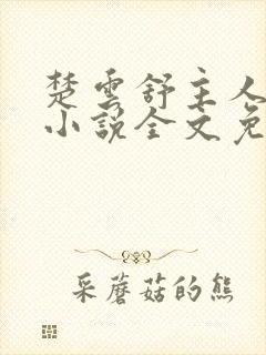 楚云舒主人公的小说全文免费阅读