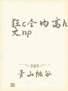 狂c全肉高h辣文np