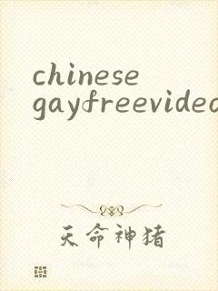 chinesegayfreevideoporn