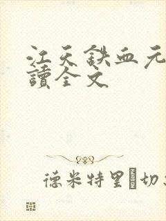 江天铁血元帅阅读全文