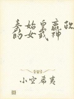 秦始皇嬴政终末的女武神