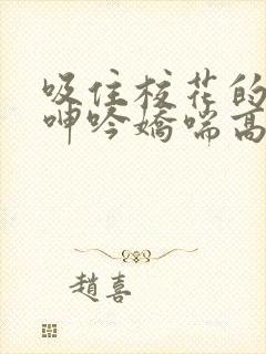 吸住校花的奶头呻吟娇喘高潮小说