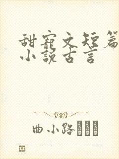 甜宠文短篇完结小说古言