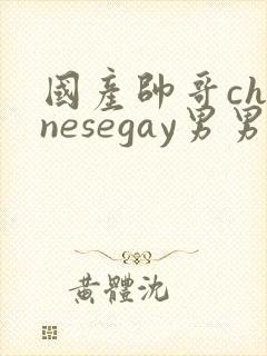 国产帅哥chinesegay男男
