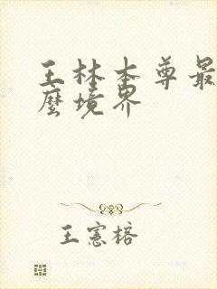 王林本尊最后什么境界