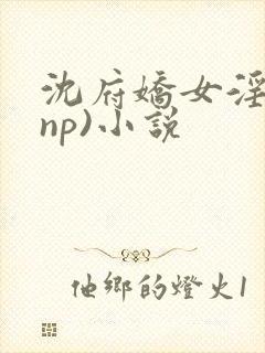 沈府娇女淫史(np)小说