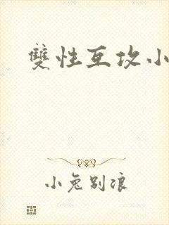 双性互攻小说