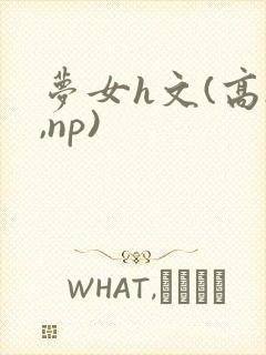 梦女h文(高h,np)