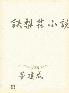 铁梨花小说