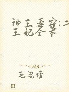 神王毒宠:二嫁王妃全本