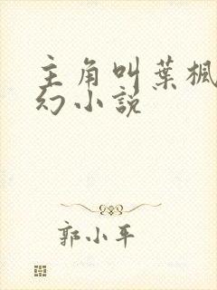 主角叫叶枫的玄幻小说