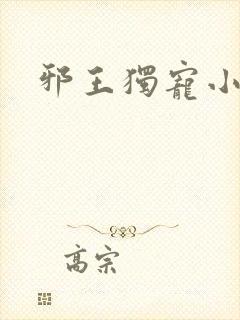 邪王独宠小医妃