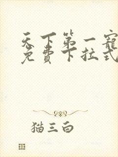 天下第一宠漫画免费下拉式六漫画