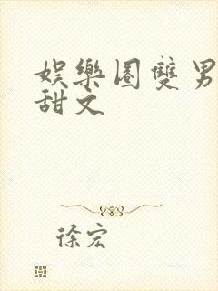 娱乐圈双男主文甜文封面