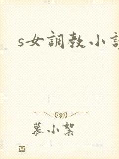 s女调教小说封面