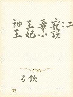 神王毒宠:二嫁王妃小说