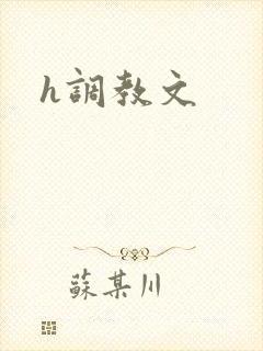 h调教文封面