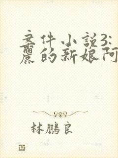 案件小说3:美丽的新娘阿龟