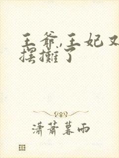 王爷,王妃又去摆摊了