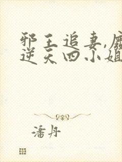 邪王追妻,废材逆天四小姐