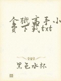 全职高手小说免费下载txt