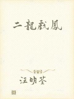二龙戏凤