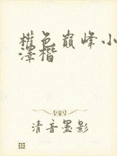 权色巅峰小说罗泽楷