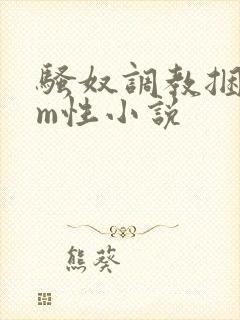 骚奴调教捆绑sm性小说封面