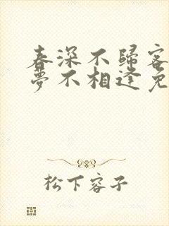 春深不归客,清梦不相逢免费阅读