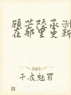 顾芒陆承洲小说在那里更新