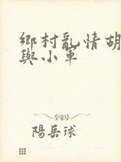 乡村乱情胡秀英与小军