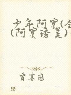 少年阿宾(全)(阿宾琇美)番外+大结局小说