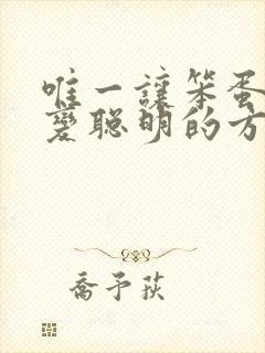 唯一让笨蛋妹妹变聪明的方法1集