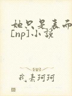 她只是表面清纯[np]小说