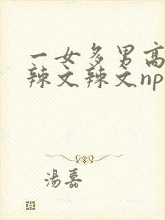 一女多男高h文辣文辣文np