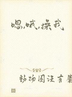 嗯,哦,操我