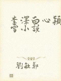 李泽白心颖林云雪小说