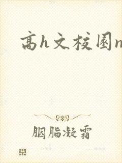高h文校园np