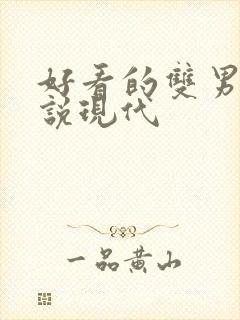 好看的双男主小说现代