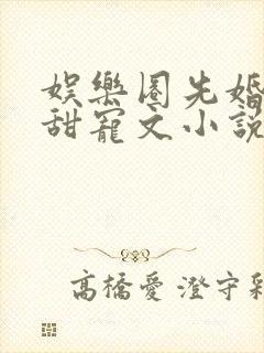 娱乐圈先婚后爱甜宠文小说