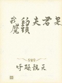 我的夫君是灭世魔头
