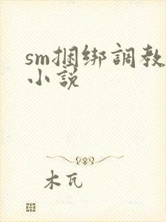 sm捆绑调教女小说