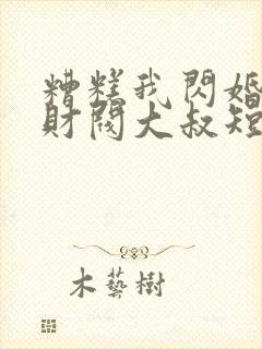 糟糕我闪婚了个财阀大叔短剧